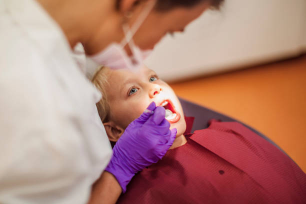 Best Emergency Dentist for Knocked-Out Tooth in Maplewood, WA